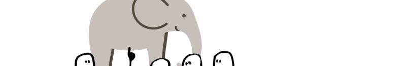 Why we are embracing elephants: Our new brand